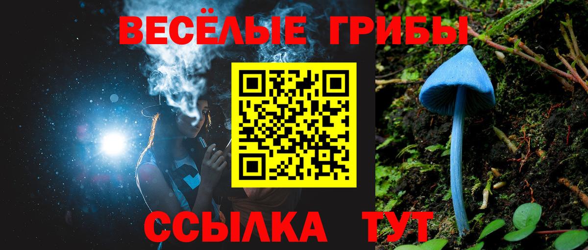 Псилоцибиновые грибы ЛСД Долгопрудный